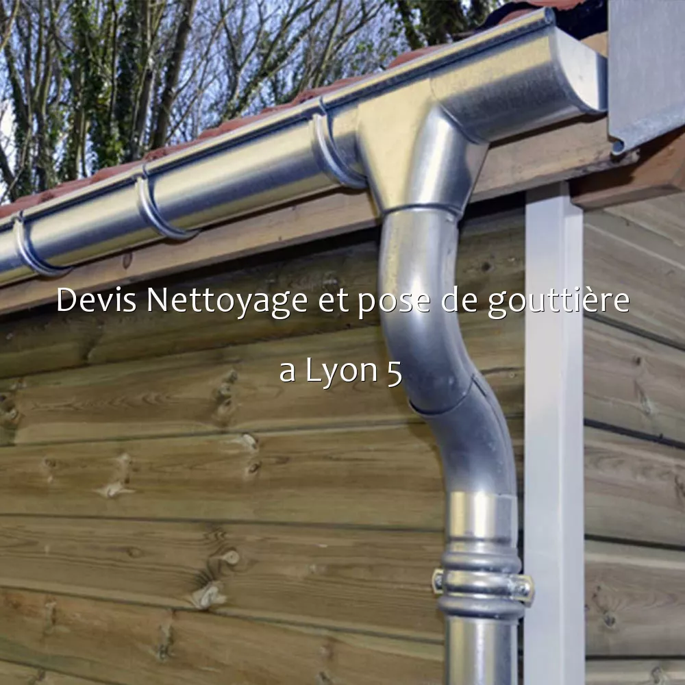 Devis Nettoyage et pose de gouttière a Lyon 5