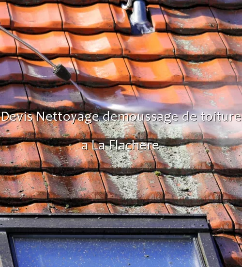 Devis Nettoyage demoussage de toiture a La Flachere