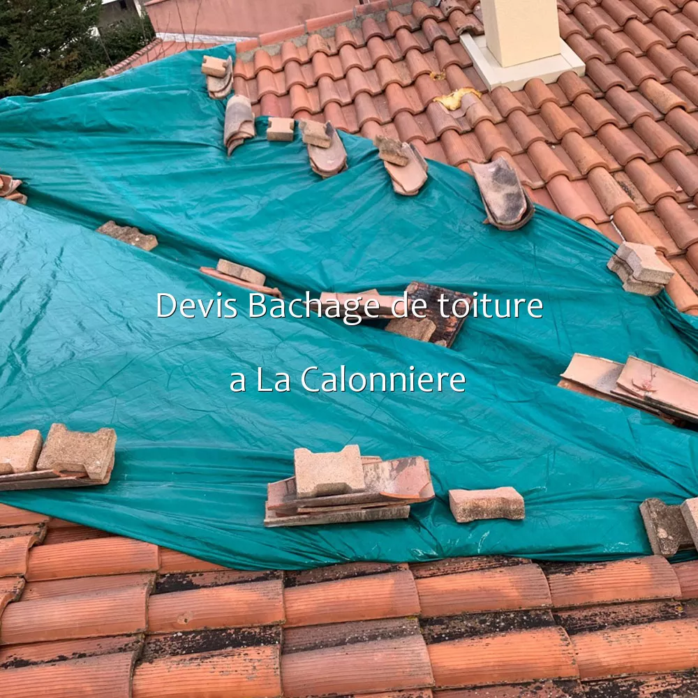 Devis Bachage de toiture a La Calonniere