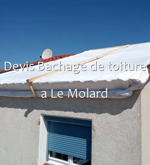 Devis Bachage de toiture a Le Molard