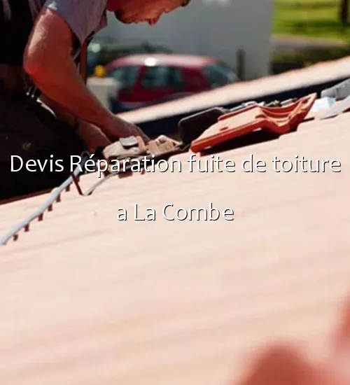 Devis Réparation fuite de toiture a La Combe